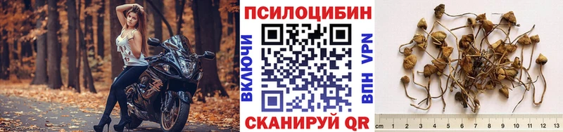 blacksprut зеркало  Сосенский  Псилоцибиновые грибы MAGIC MUSHROOMS 